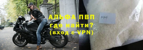 мяу мяу мука Баксан