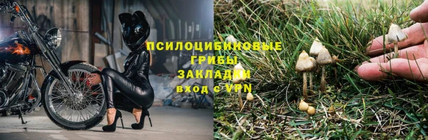 мяу мяу мука Баксан