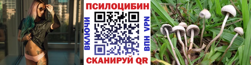 Галлюциногенные грибы прущие грибы  купить наркотики цена  ссылка на мегу ССЫЛКА  Бахчисарай 
