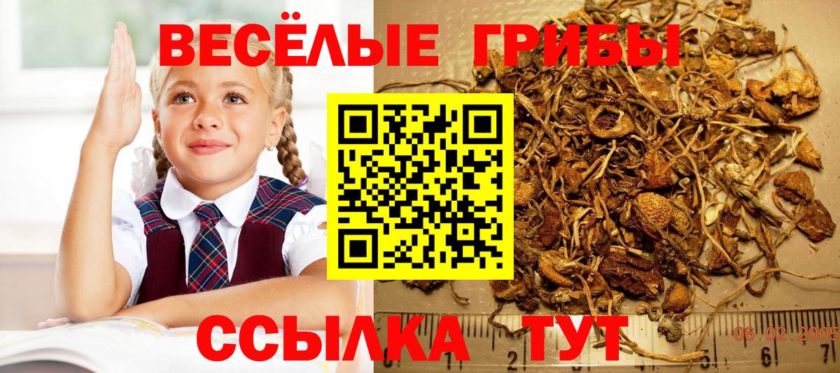 Галлюциногенные грибы ЛСД  Вход с VPN  хочу   Галлюциногенные грибы GOLDEN TEACHER  Бахчисарай 
